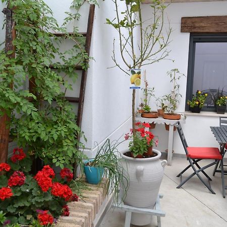Casa Rural Hidalga Αλμάγκρο Εξωτερικό φωτογραφία